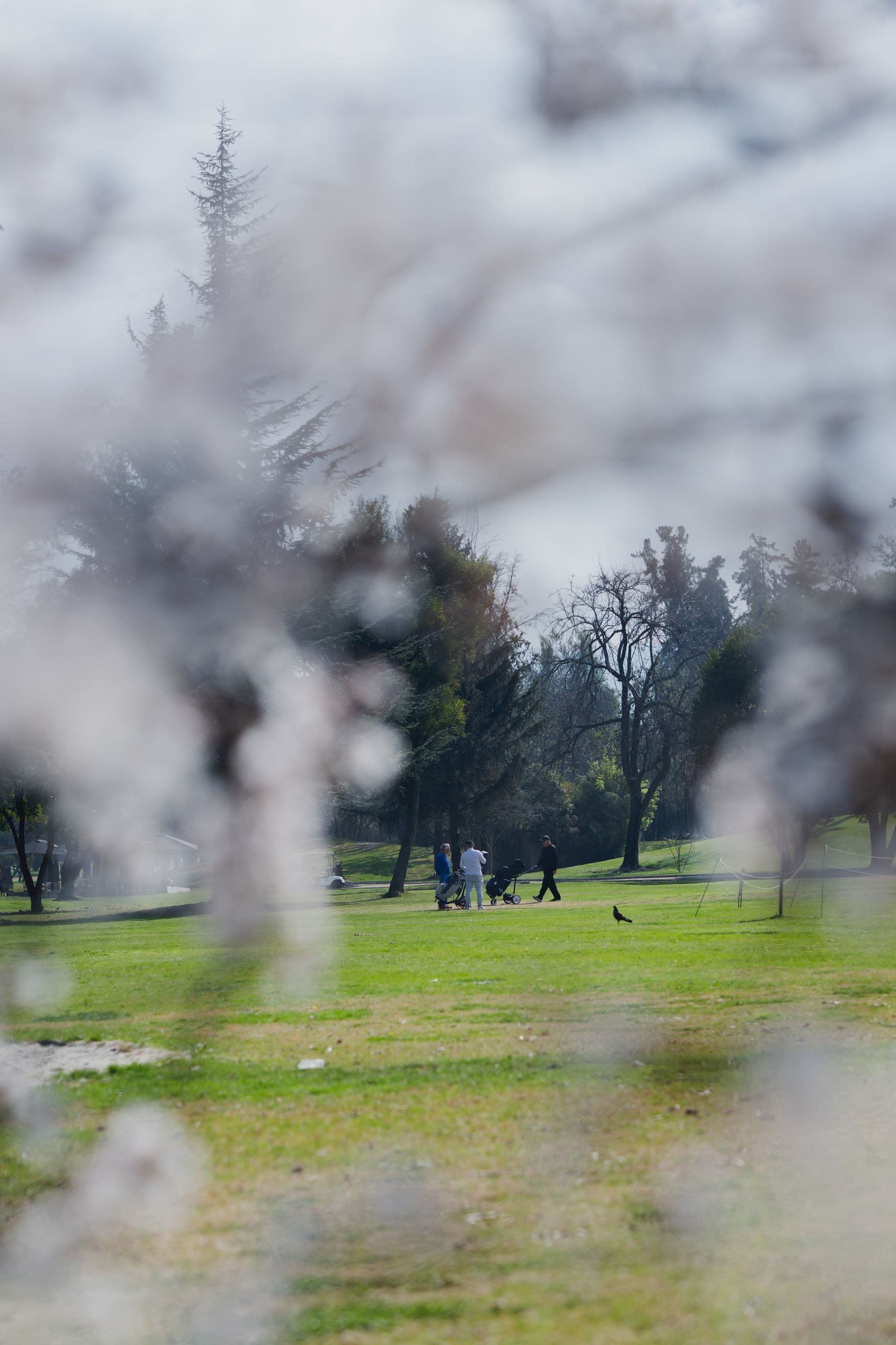 Golfistas en el fairway del Club de Golf de La Dehesa, frente al emplazamiento de Vista Golf Etapa 2